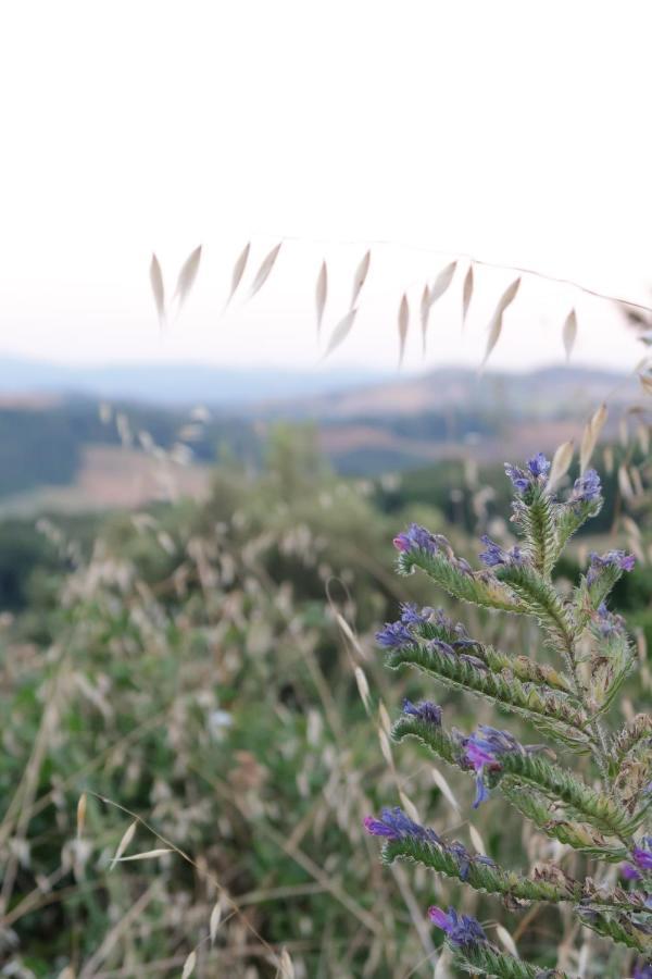 Agriturismo Escaia Villa Volterra Exterior foto